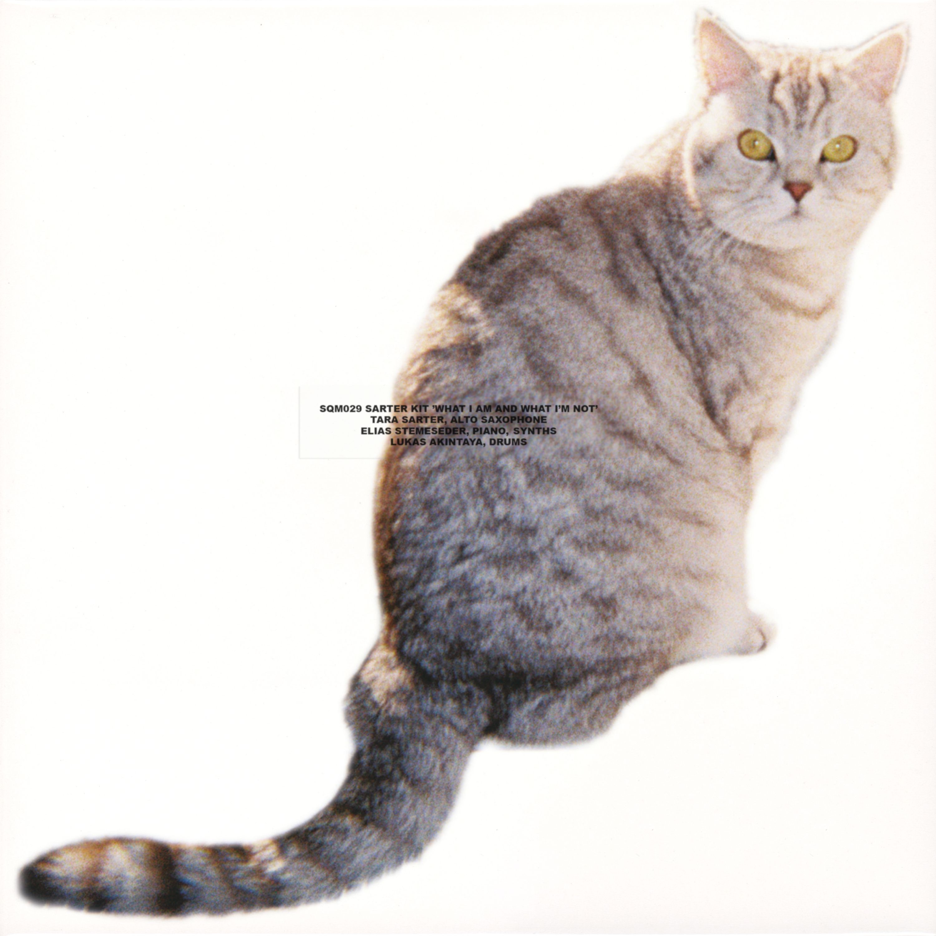 Sarter Kit - What I Am And What I'm Not (LP, 180g) : LP