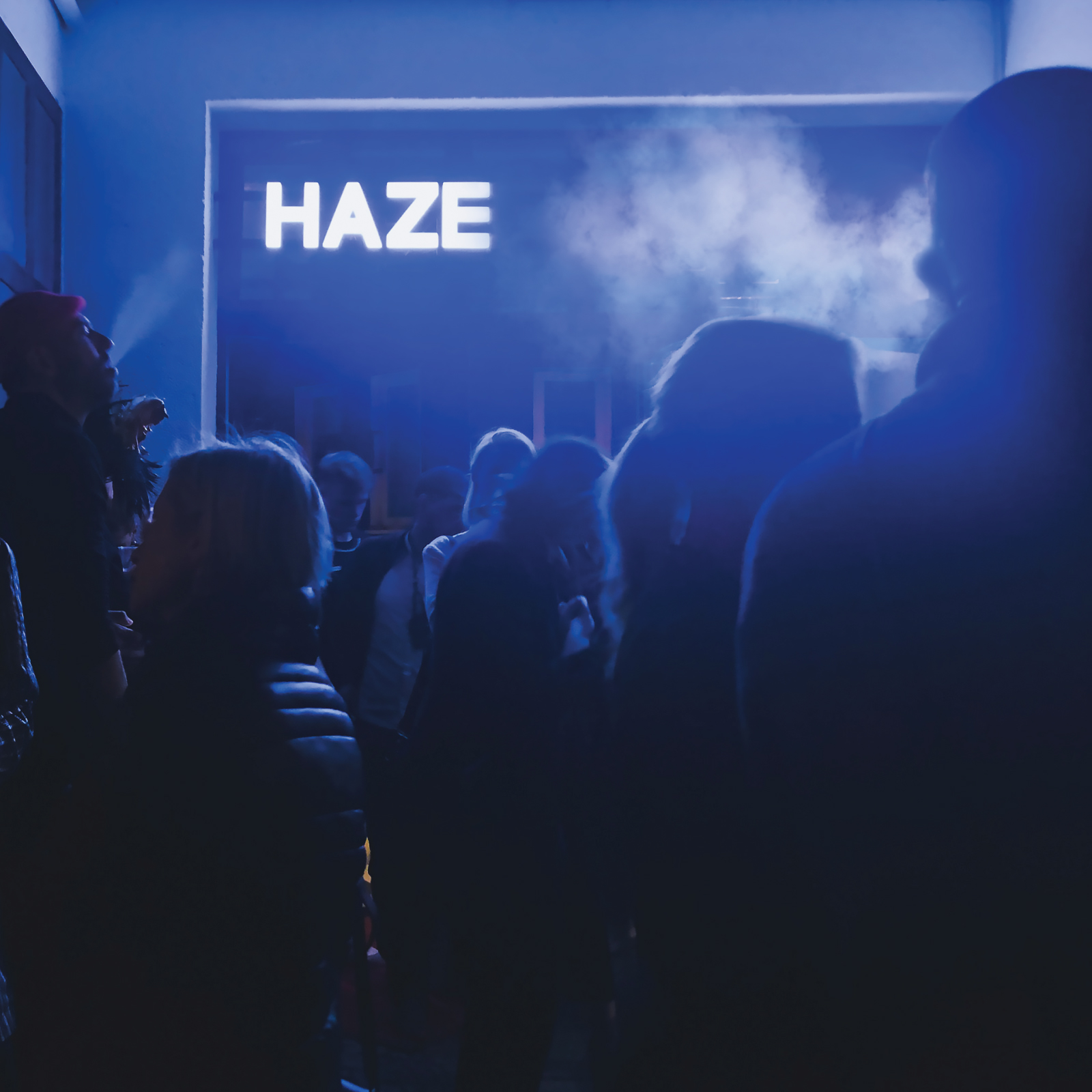 Fluxion - Haze : 2LP