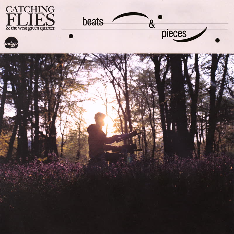 Catching Flies - Beats & Pieces : LP