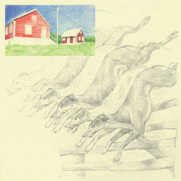 Quickly, Quickly - I Heard That Noise : LP(Color)