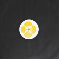 Carrier - Tender Spirits