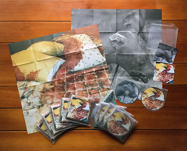Terre Thaemlitz - snowflakes & dog whistles - best electroacoustic ambient & sexpanic 1995-2017 : 2CD