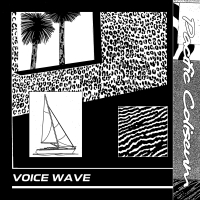 Pacific Coliseum - Voice Wave