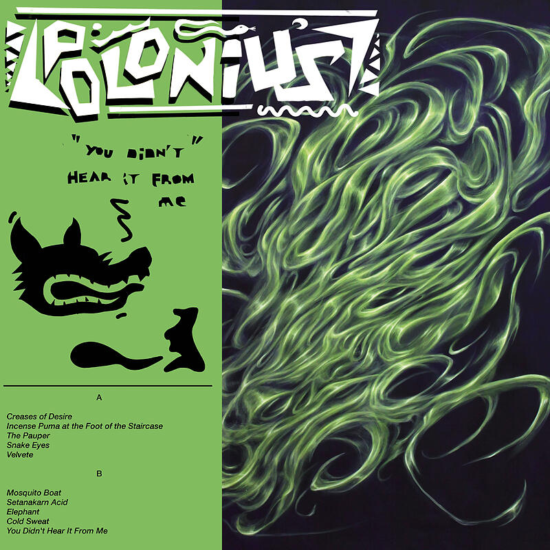 Polonius - You Didn't Hear It From Me : LP