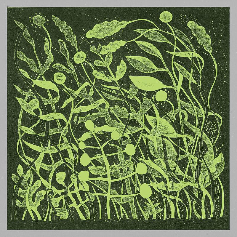 Kirk Barley - Lux : LP