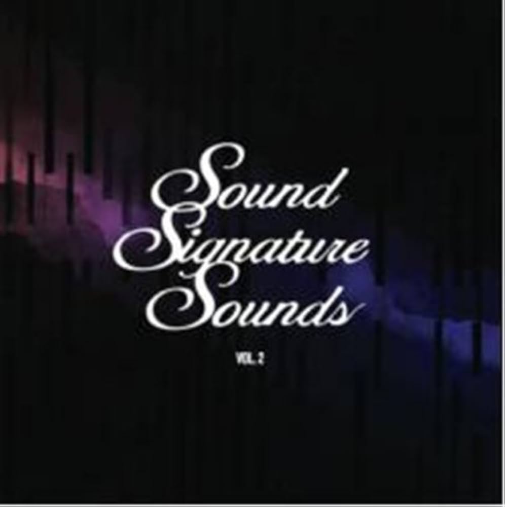 Theo Parrish - Sound Signature Sounds Vol. 2 : CD