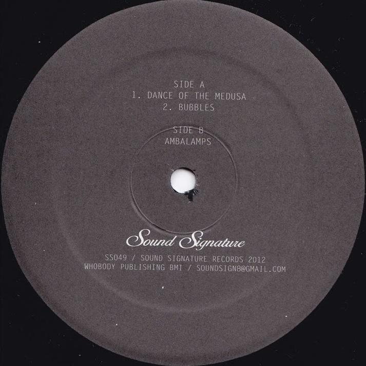 Theo Parrish - Dance Of The Medusa : 12inch