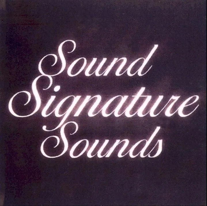 Theo Parrish - Sound Signature Sounds : CD