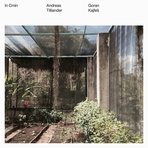 Andreas Tilliander & Goran Kajfes - In Cmin : LP