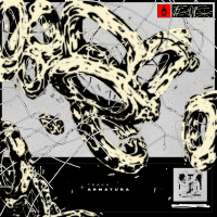 TRAKA ft. Rider Shafique & Oddkut - Armatura EP