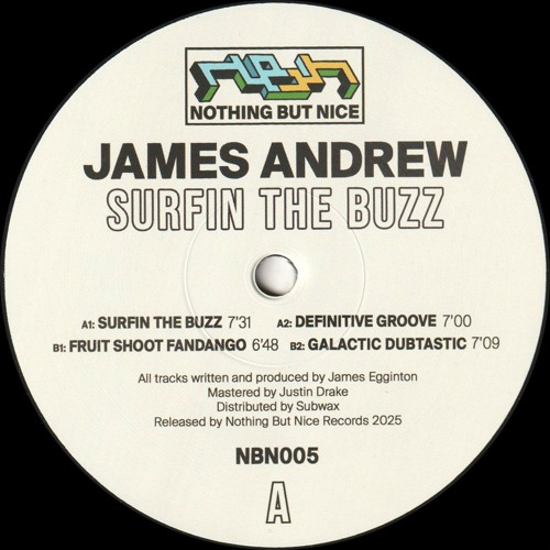 James Andrew - Surfin The Buzz : 12inch