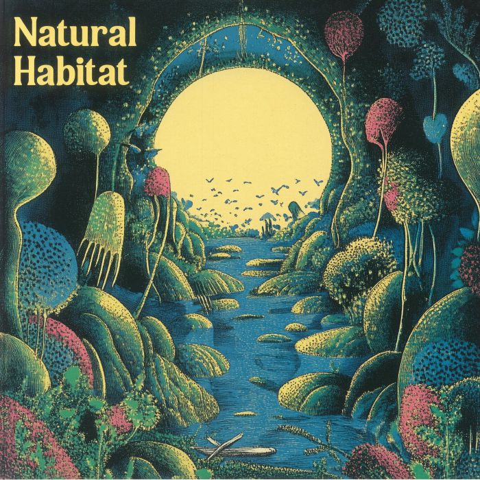 Indi Zone - Natural Habitat : 12inch