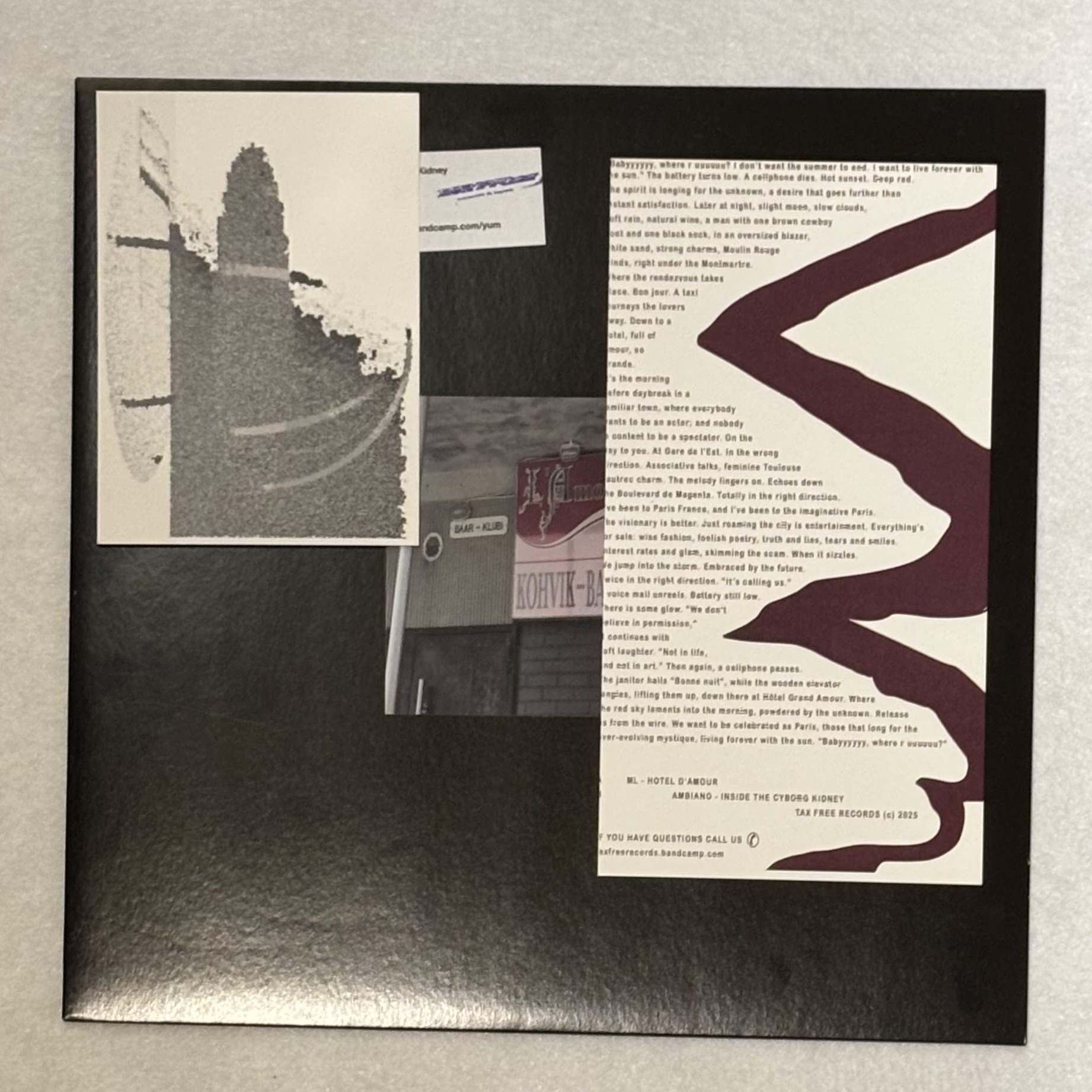 Ml / Ambiano - HÔTel D'Amour / Inside The Cyborg Kidney : 12inch+DL