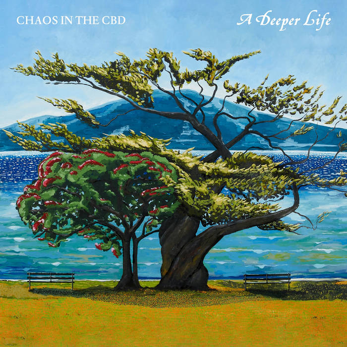 Chaos In The CBD - A Deeper Life : LP  (STANDARD SLEEVE)