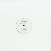 A Vision Of Panorama - Patches Of Light