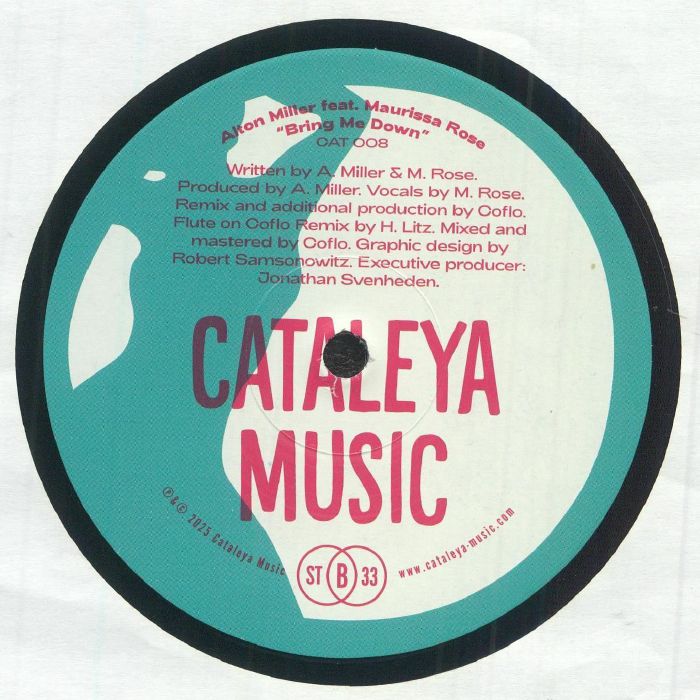Alton Miller feat. Maurissa Rose - Bring Me Down (Alton Miller & Coflo Rmxs) : 12inch
