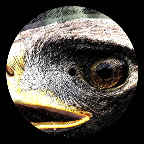 cc