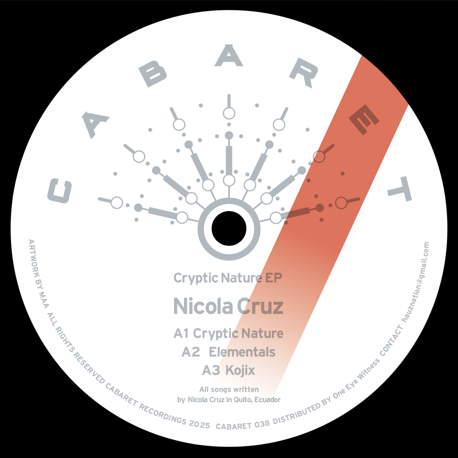 Nicola Cruz - Cryptic Nature EP : 12inch