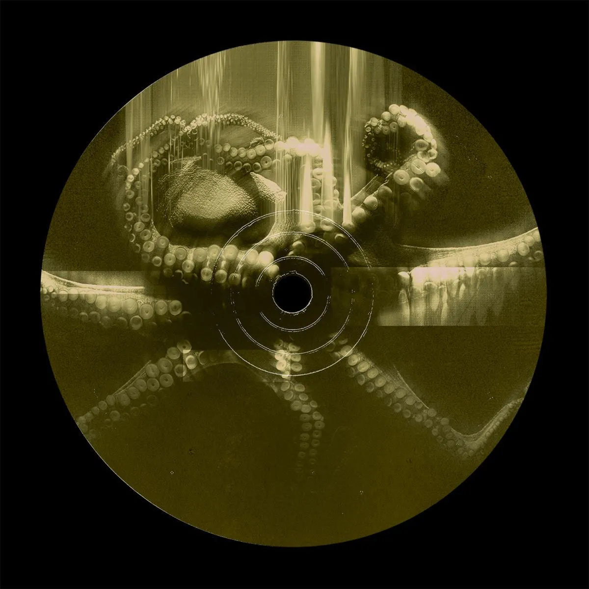 Phasmid - Hadal Zone EP : 12inch