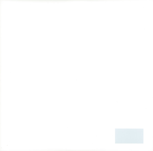 SnPLO - The cocaines : 2x10inch