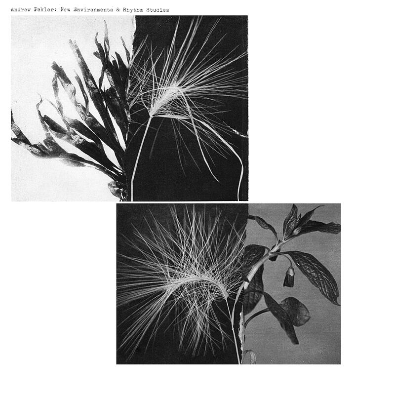 Andrew Pekler - New Environments & Rhythm Studies : LP+DLcode