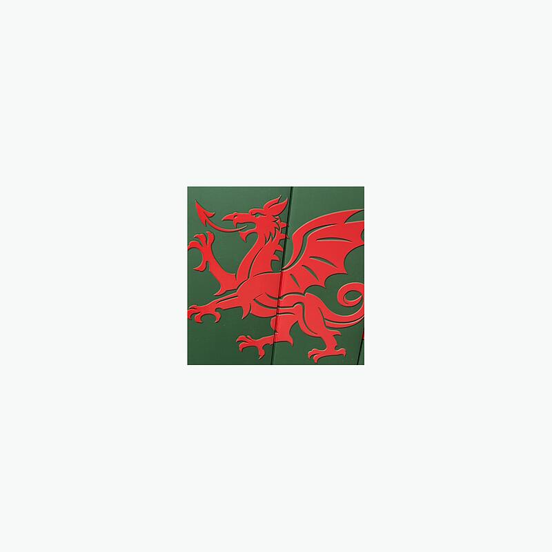 Severin Black - Country Music : LP+DL