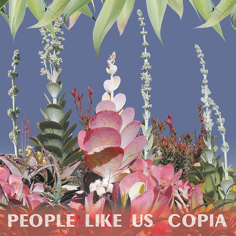 People Like Us - COPIA : LP