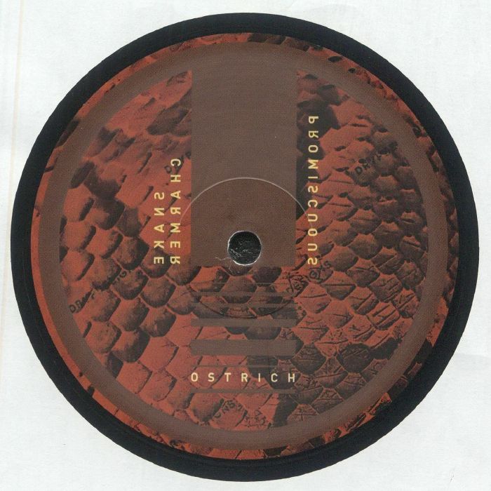 Ostrich - Snake Charmer : 12inch