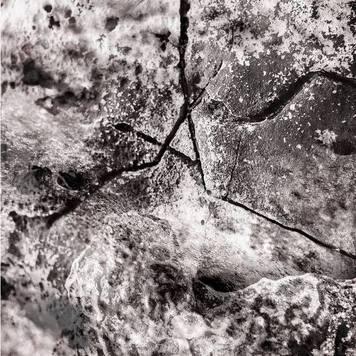 cc