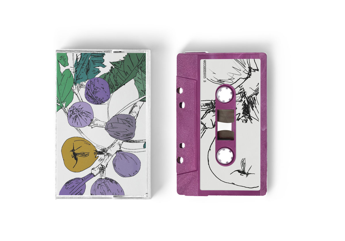 Stella Z - Music to Watch Seeds Grow By 005: Stella Z (Fig) : Tape