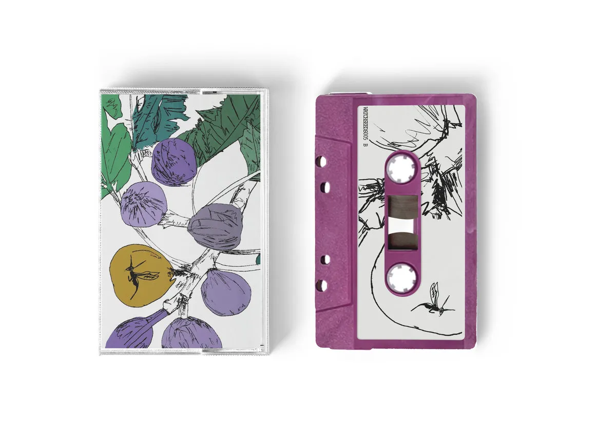 Stella Z - Music to Watch Seeds Grow By 005: Stella Z (Fig) : Tape