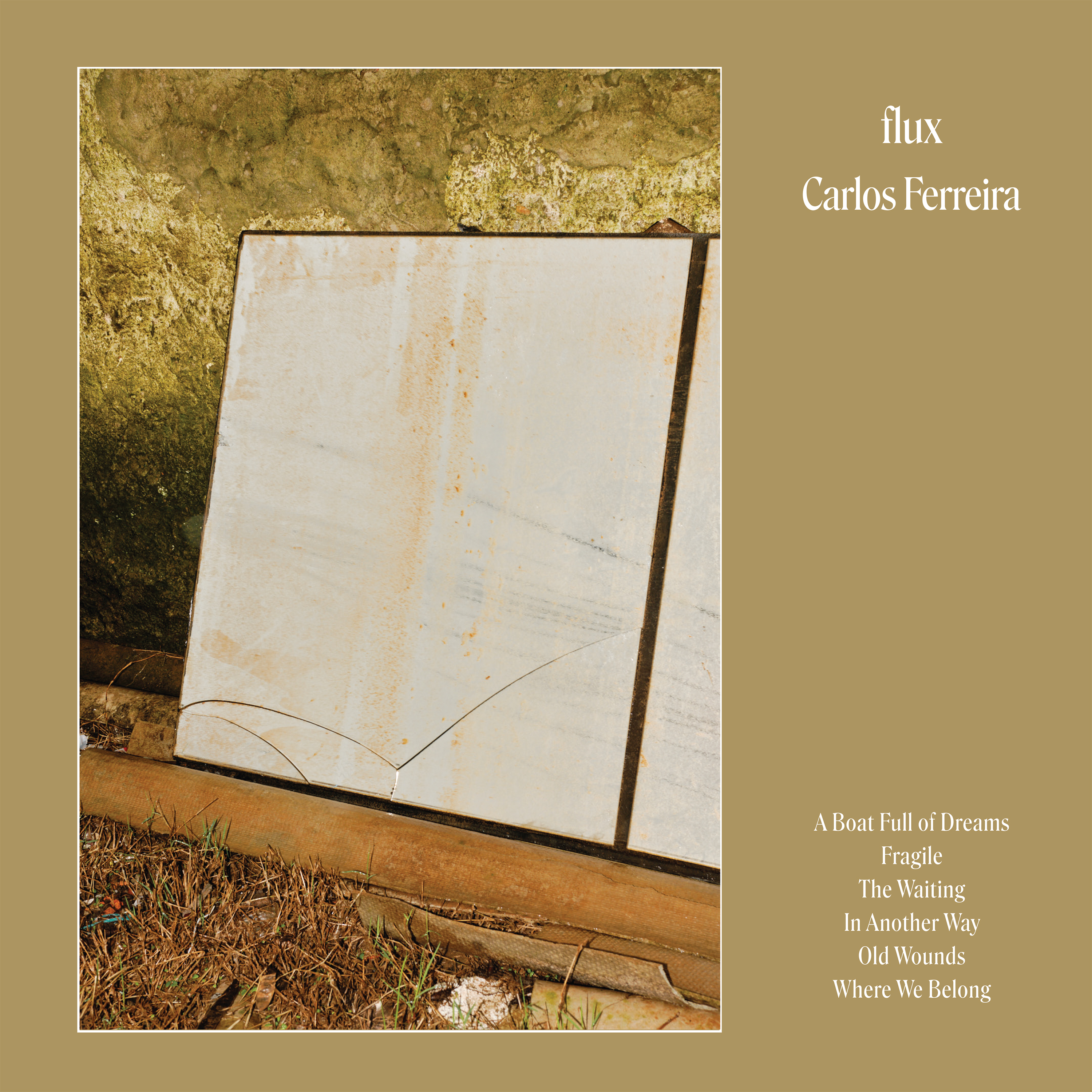 Carlos Ferreira - Flux (LP) : LP