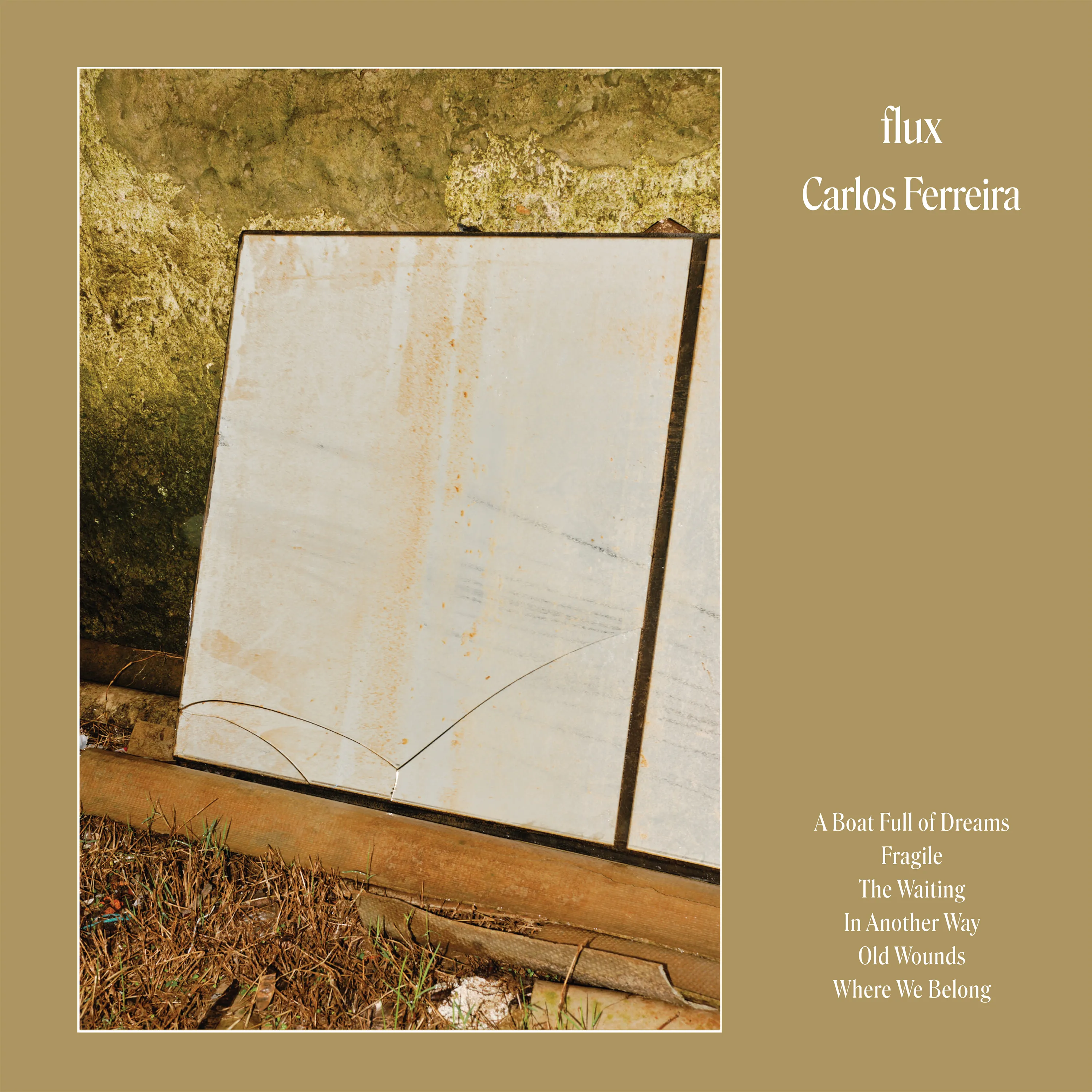 Carlos Ferreira - Flux (LP) : LP