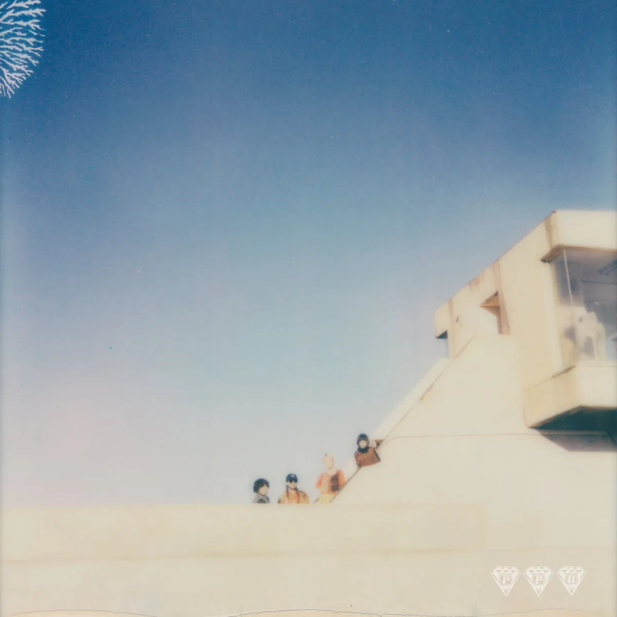 TAMTAM - Where They Dwell : LP