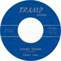 Timmy Sims - Count Down