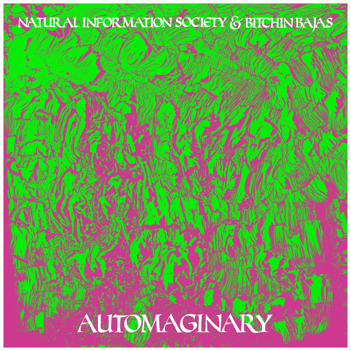 Joshua Abrams Natural Information Society - Automaginary : LP