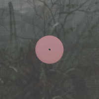 Alien D - For the Early Hours of a World in Bloom