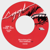 Visions - Reaching For The Infinite / Back To Fire