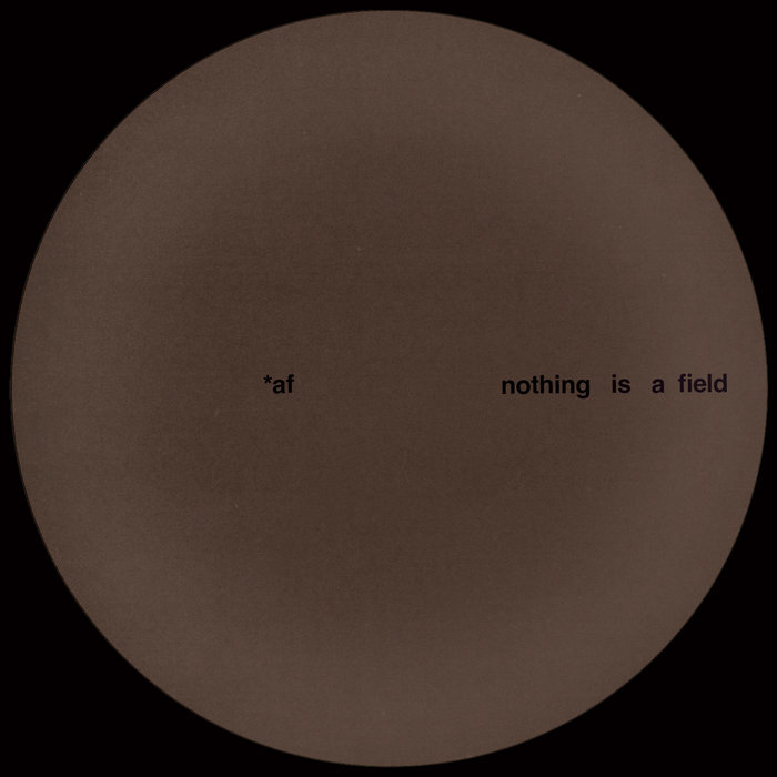 Adam Feingold - Nothing Is A Field : 12inch