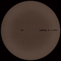 Adam Feingold - Nothing Is A Field