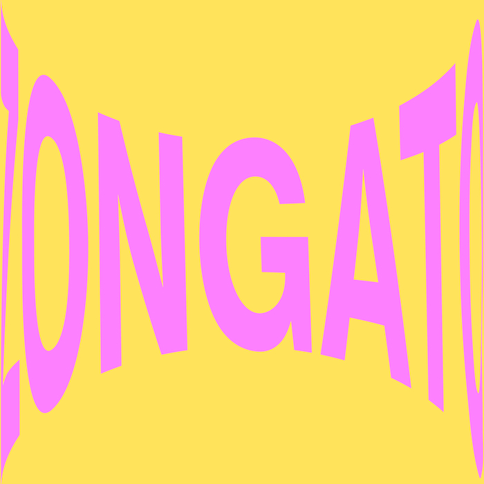 Iñigo Vontier - Zongato EP : 12inch