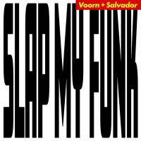 Voorn + Salvador - Slap My Funk