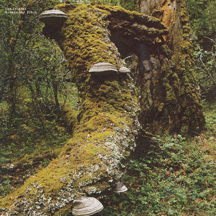 Jan Jelinek - Kosmischer Pitch : LP