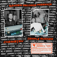 レコードショップ NEWTONE RECORDS:輸入レコード通販サイト