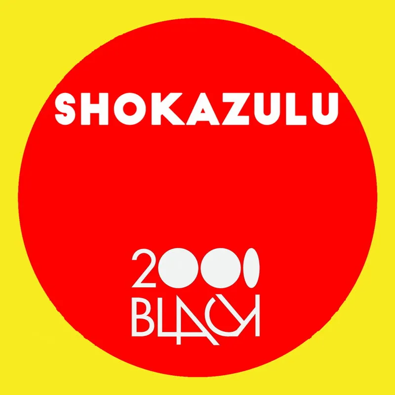 Shokazulu - Navigate Your Soul : 12inch