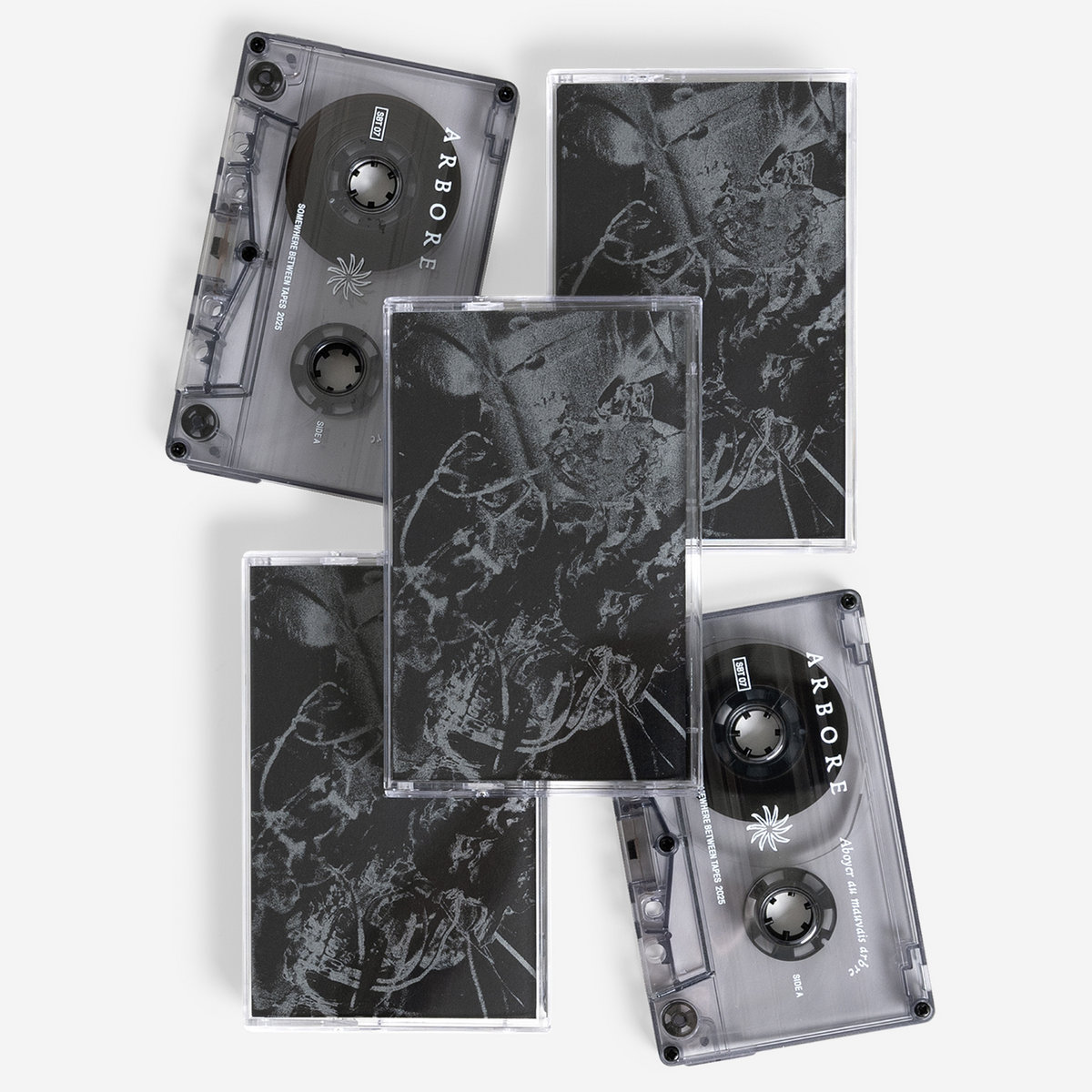 Arbore - Aboyer au mauvais arbre : Tape