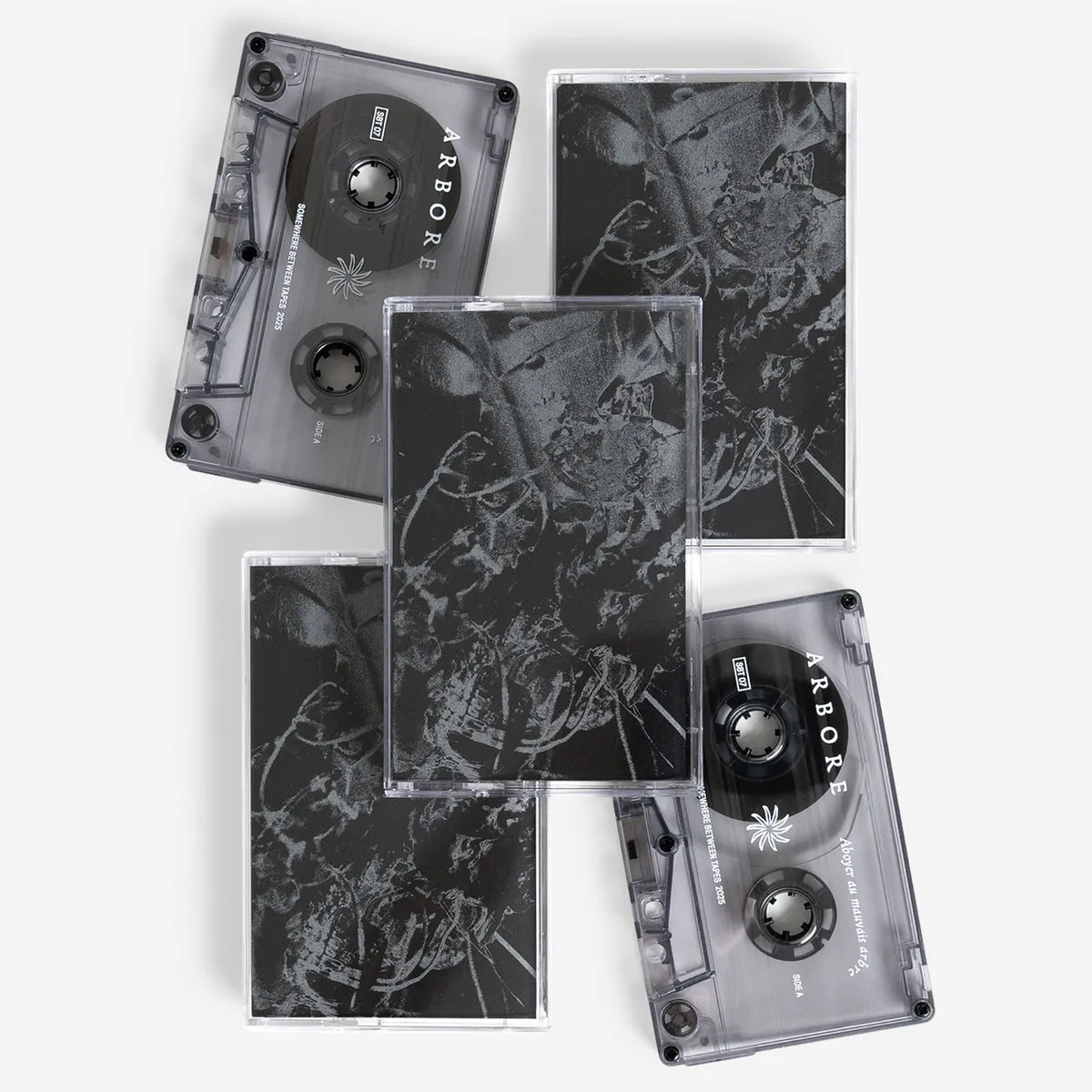 Arbore - Aboyer au mauvais arbre : Tape