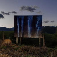 Bruno Tonisi - Sensational Conversations