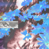 Zara - Soaring Ora