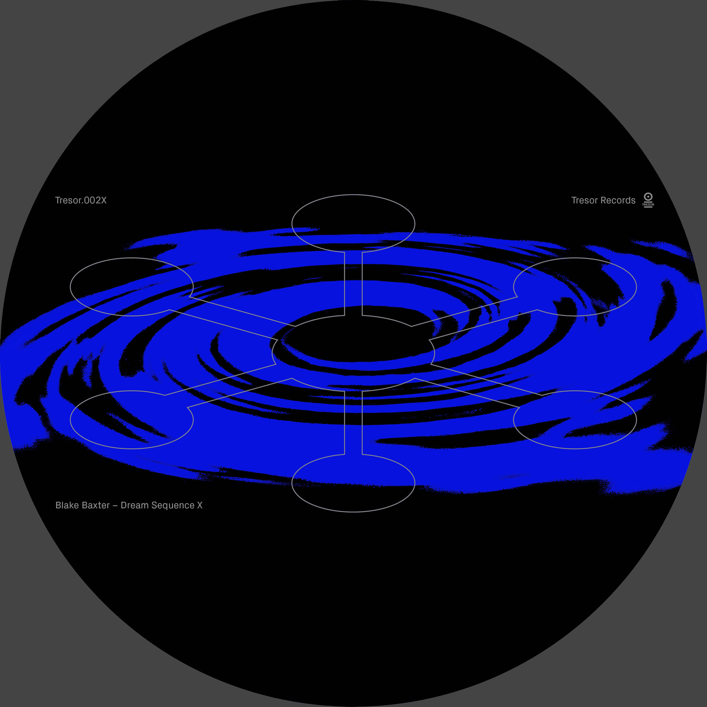 Blake Baxter - Dream Sequence X (12" vinyl, generic sleeve, incl. dl card) : 12inch